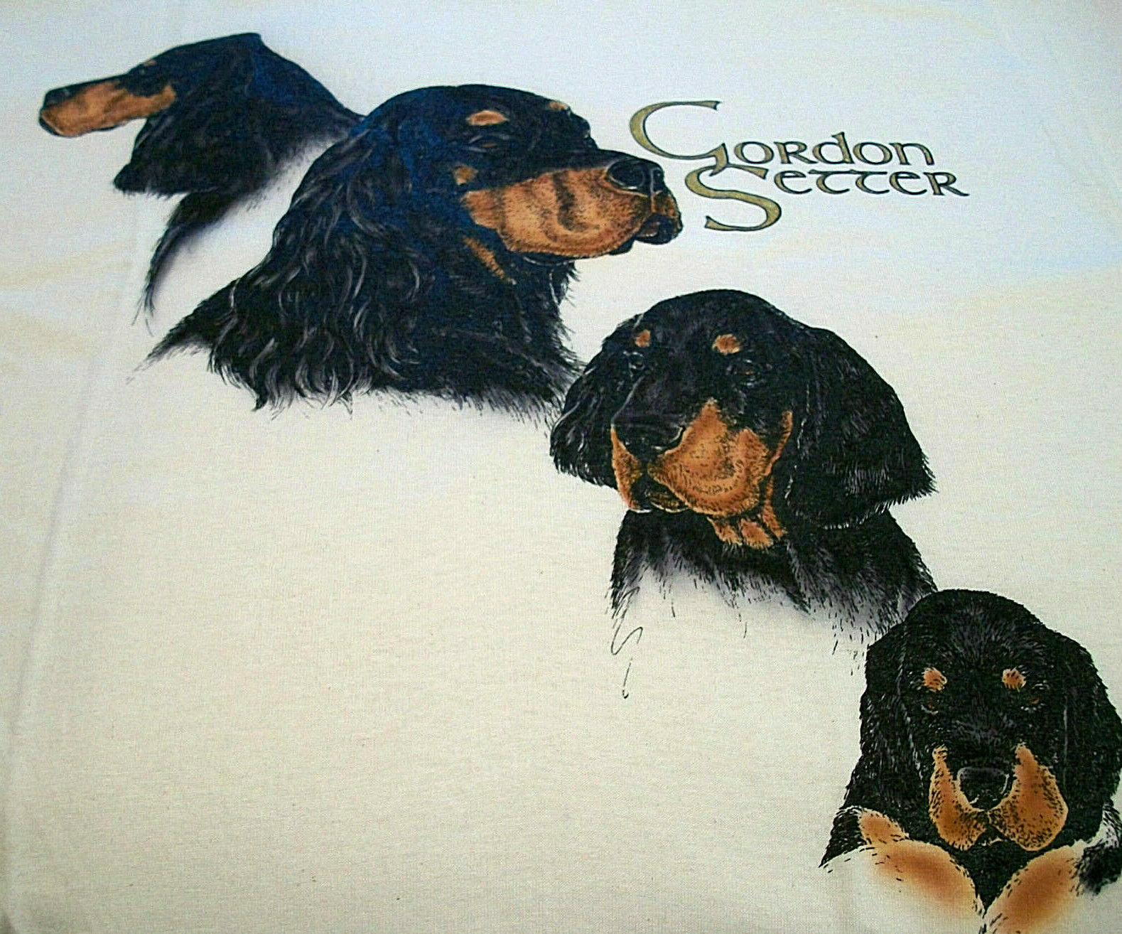 Gordon Setter T-shirt ~ Natural ~ Size 3xl ( 54 - 56 )